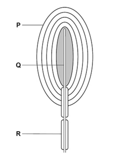 Diagram for question 337