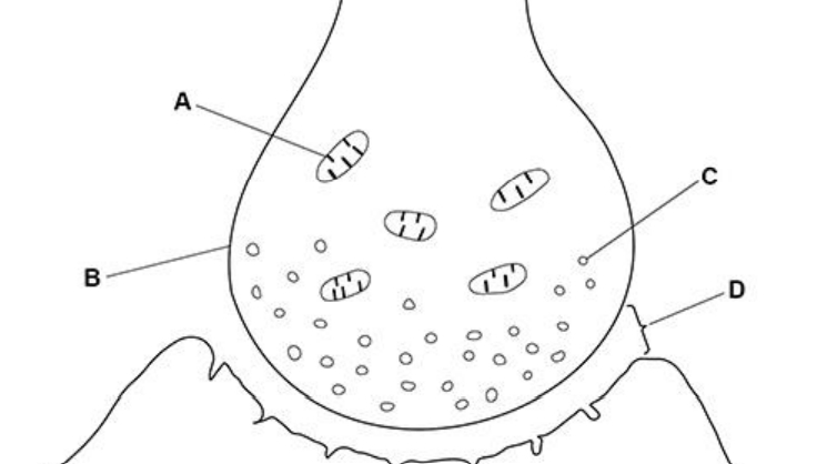 Diagram for question 355