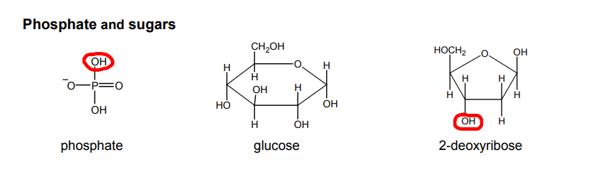 Diagram for the answer to question 558