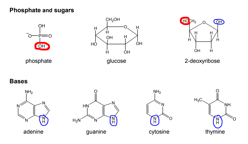 Diagram for the answer to question 557