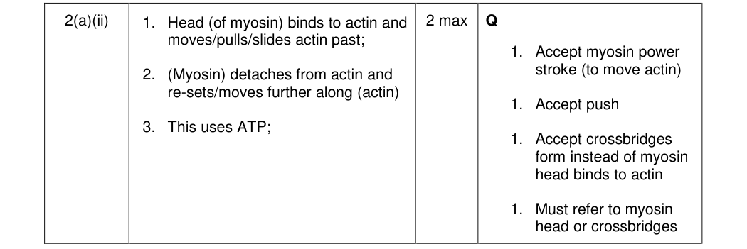 Mark scheme for 2013 A-Level Unit 5 Q2(a)(ii) (2 marks)