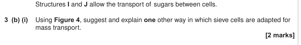 Question from 2015 As Unit 2 Q3(b)(i) (2 marks)