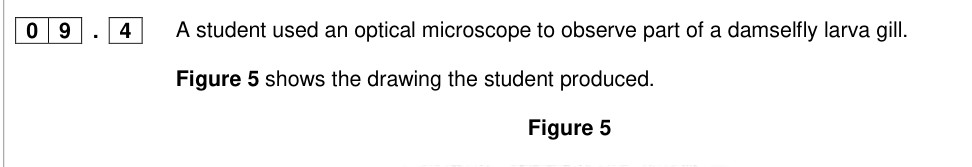 Question from 2017 A-Level Paper 1 Q09.4 (2 marks)