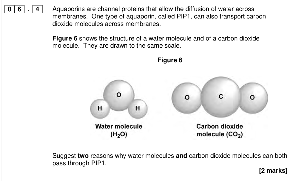 Question from 2017 A-Level Paper 3 Q6.4 (2 marks)