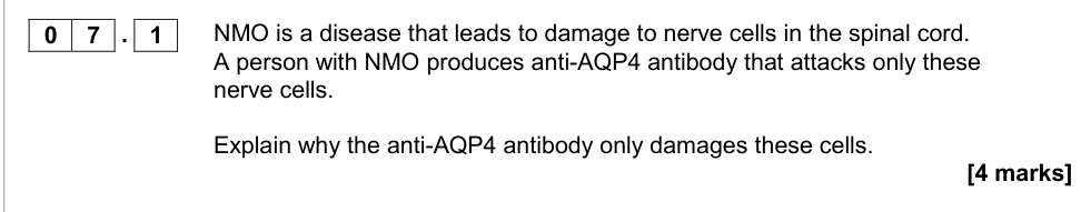Question from 2017 As Paper 2 Q7.1 (4 marks)
