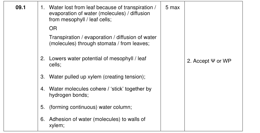 Mark scheme for 2017 As Paper 2 Q9.1 (5 marks)