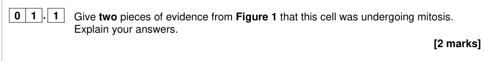 Question from 2018 A-Level Paper 1 Q1.1 (2 marks)