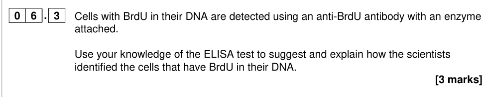 Question from 2019 A-Level Paper 1 Q06.3 (3 marks)