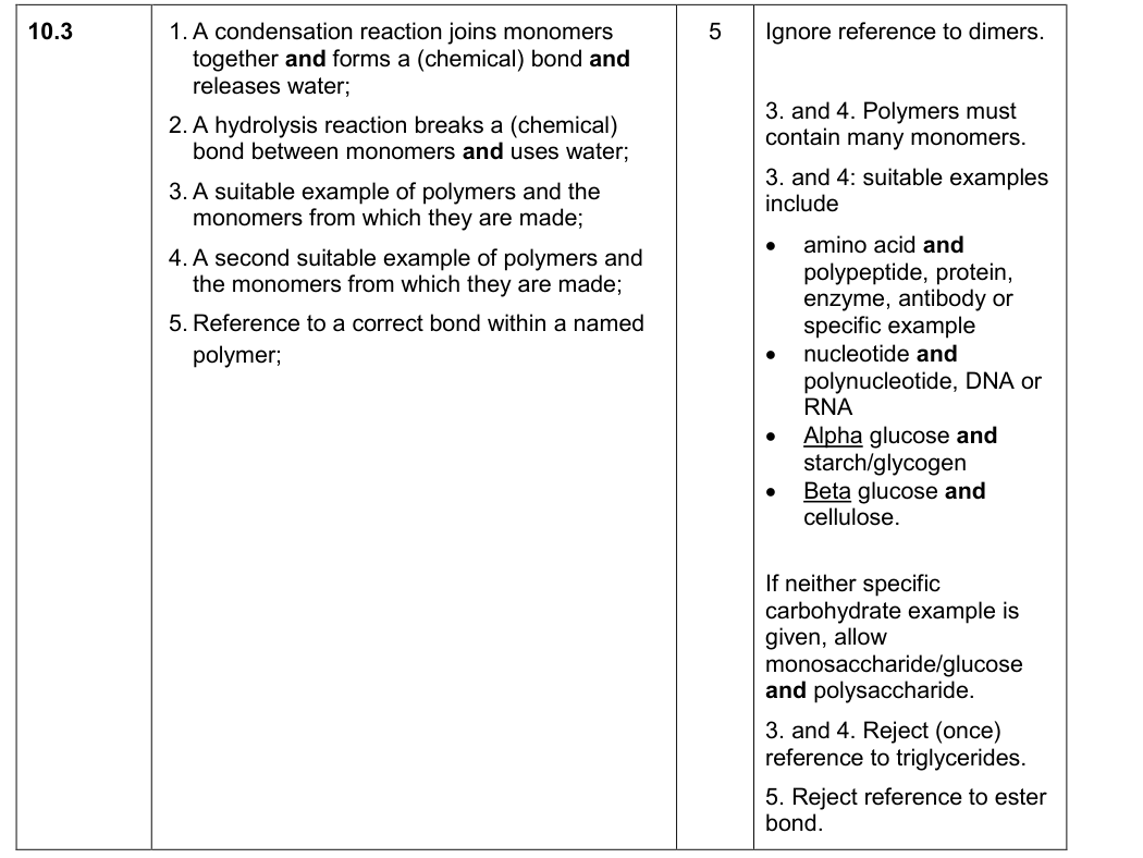 Mark scheme for 2019 A-Level Paper 1 Q10.3 (5 marks)