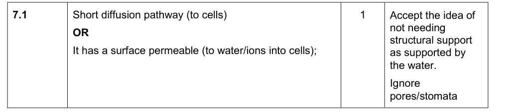 Mark scheme for 2019 A-Level Paper 1 Q7.1 (1 marks)
