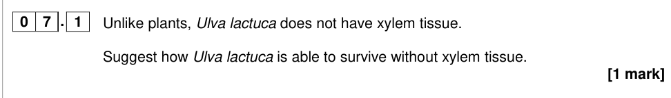 Question from 2019 A-Level Paper 1 Q7.1 (1 marks)