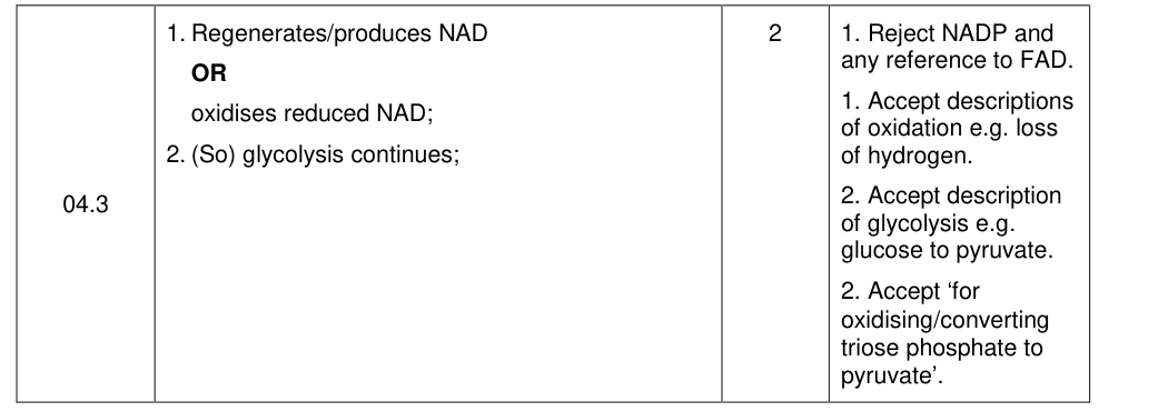 Mark scheme for 2019 A-Level Paper 2 Q4.3 (2 marks)