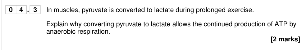 Question from 2019 A-Level Paper 2 Q4.3 (2 marks)