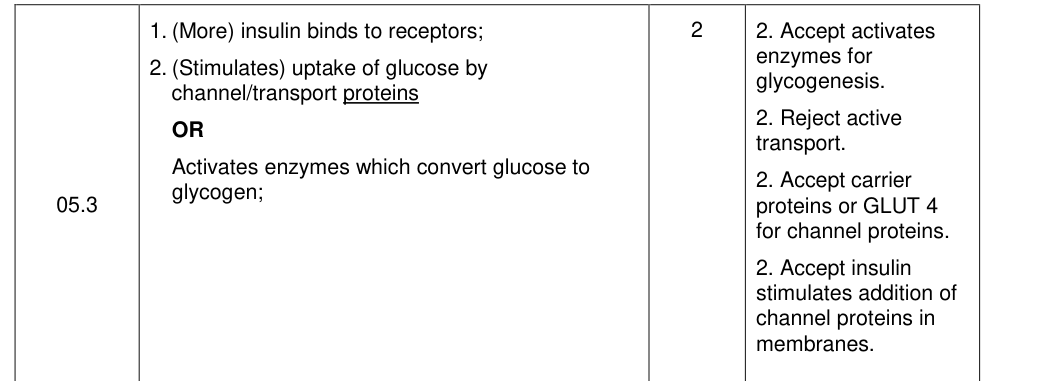 Mark scheme for 2019 A-Level Paper 2 Q5.3 (2 marks)