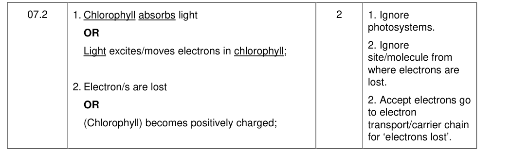 Mark scheme for 2019 A-Level Paper 2 Q7.2 (2 marks)