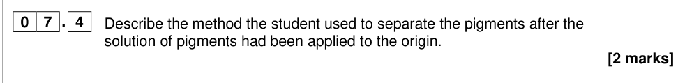 Question from 2019 A-Level Paper 2 Q7.4 (2 marks)