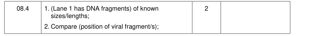 Mark scheme for 2019 A-Level Paper 2 Q8.4 (2 marks)