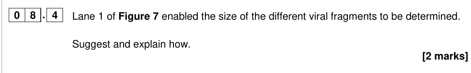 Question from 2019 A-Level Paper 2 Q8.4 (2 marks)