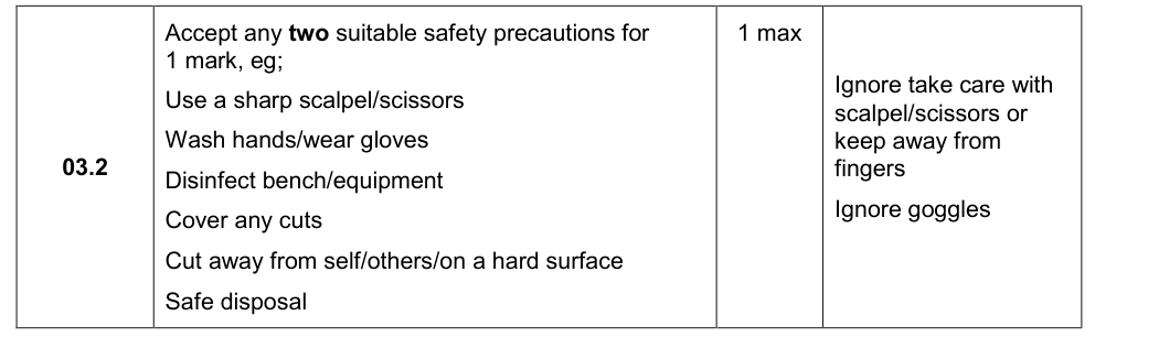 Mark scheme for 2019 A-Level Paper 3 Q03.2 (1 marks)