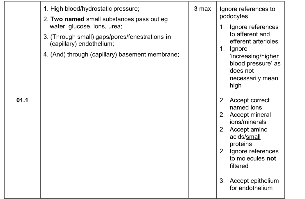 Mark scheme for 2019 A-Level Paper 3 Q1.1 (3 marks)