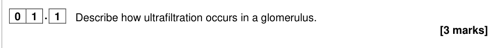 Question from 2019 A-Level Paper 3 Q1.1 (3 marks)