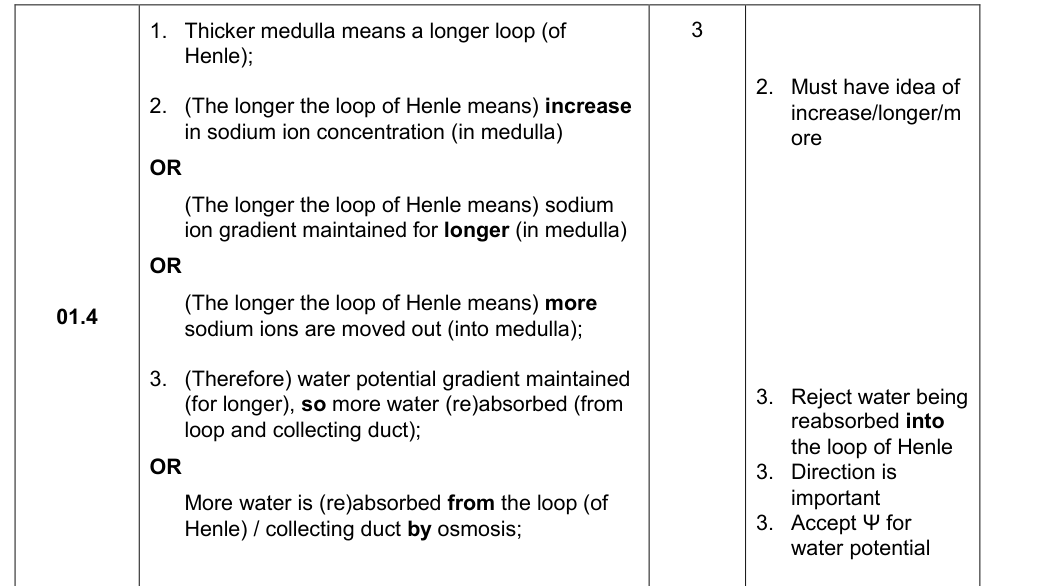 Mark scheme for 2019 A-Level Paper 3 Q1.4 (3 marks)