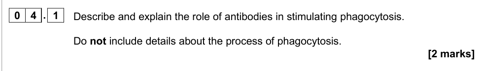 Question from 2019 As Paper 2 Q4.1 (2 marks)