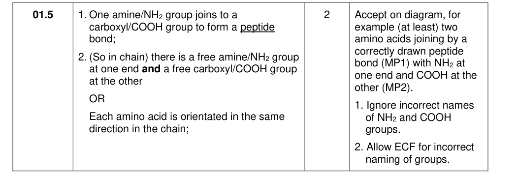 Mark scheme for 2020 A-Level Paper 1 Q01.5 (2 marks)
