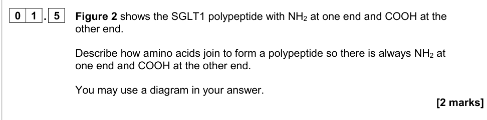 Question from 2020 A-Level Paper 1 Q01.5 (2 marks)