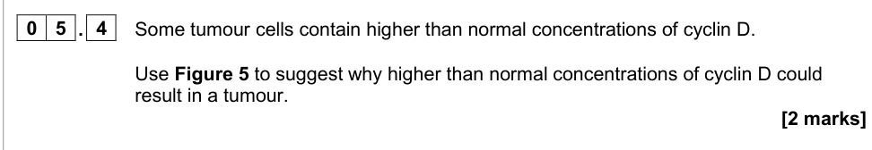 Question from 2020 A-Level Paper 1 Q05.4 (2 marks)