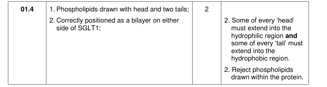 Mark scheme for 2020 A-Level Paper 1 Q1.4 (2 marks)