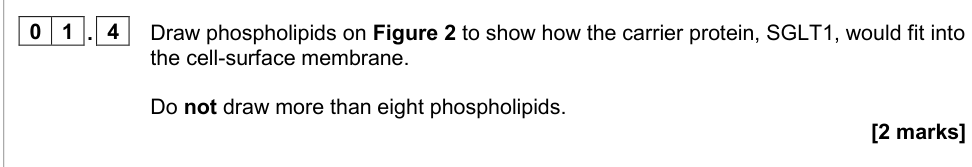 Question from 2020 A-Level Paper 1 Q1.4 (2 marks)
