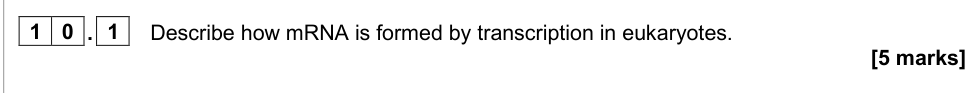 Question from 2020 A-level Paper 1 Q10.1 (5 marks)
