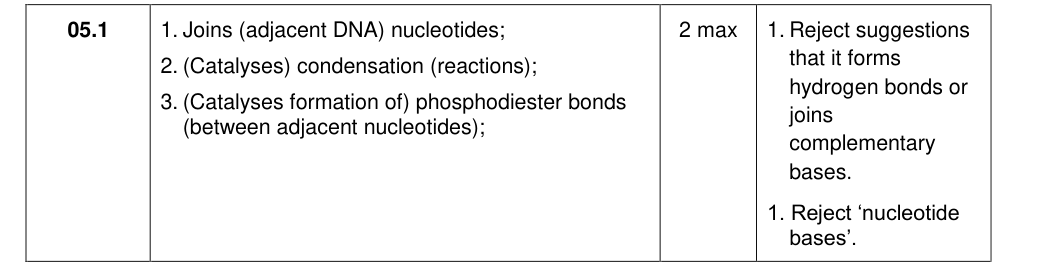 Mark scheme for 2020 A-Level Paper 1 Q5.1 (2 marks)