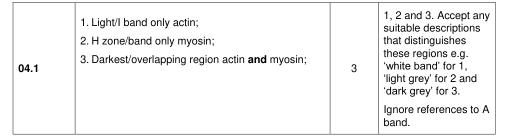 Mark scheme for 2020 A-Level Paper 2 Q04.1 (3 marks)