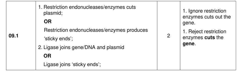 Mark scheme for 2020 A-Level Paper 2 Q9.1 (2 marks)