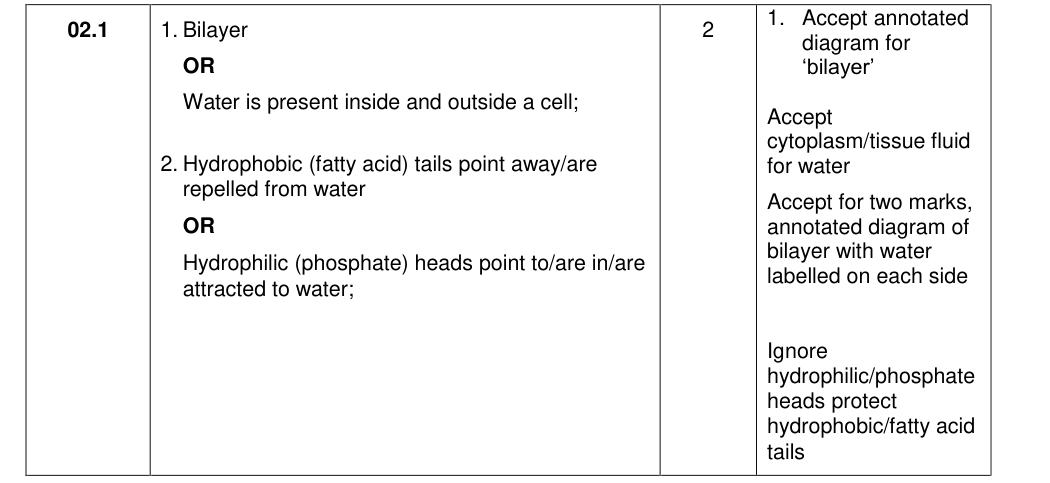 Mark scheme for 2020 As P1 Q02.1 (2 marks)