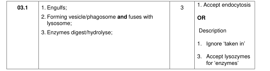 Mark scheme for 2020 As Paper 1 Q3.1 (3 marks)