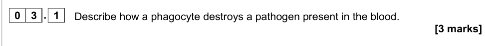 Question from 2020 As Paper 1 Q3.1 (3 marks)