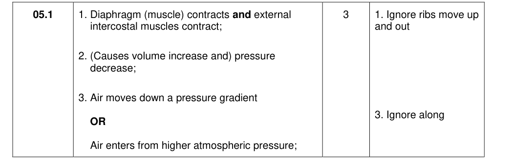 Mark scheme for 2020 As Paper 1 Q5.1 (3 marks)
