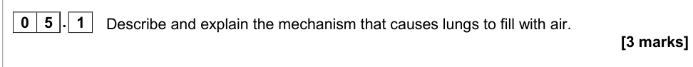 Question from 2020 As Paper 1 Q5.1 (3 marks)