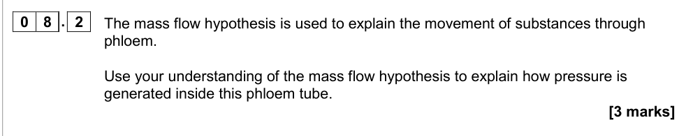 Question from 2020 As Paper 2 Q8.2 (3 marks)
