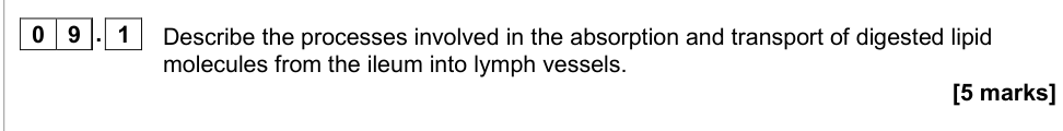 Question from 2020 As Paper 2 Q9.1 (5 marks)