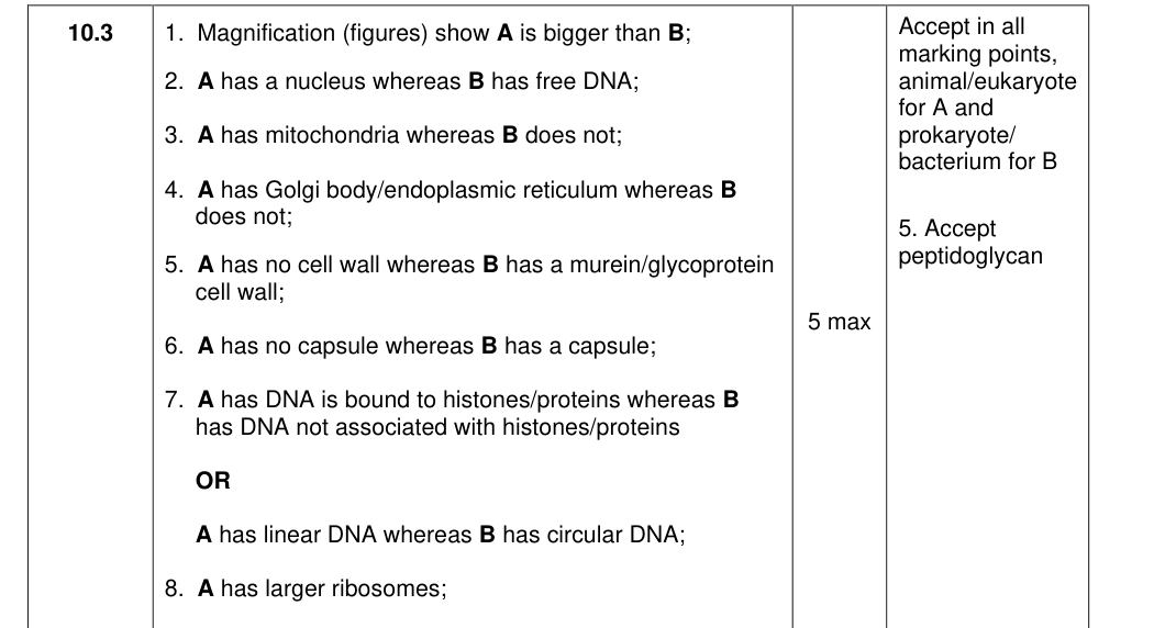 Mark scheme for 2021 A-level P1 June Q10.3 (5 marks)
