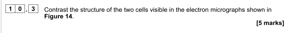 Question from 2021 A-level P1 June Q10.3 (5 marks)