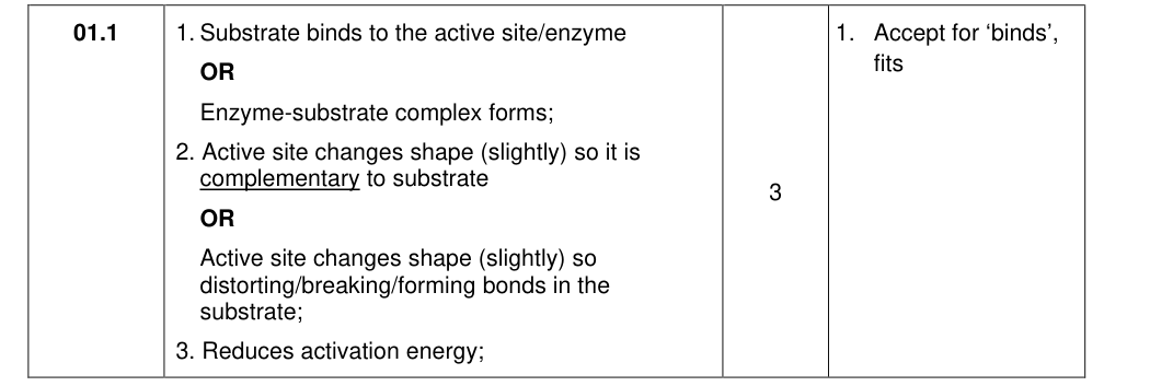 Mark scheme for 2021 A-Level Paper 1 Q1.1 (3 marks)