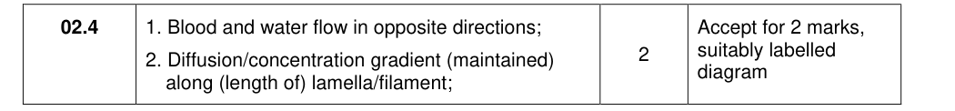 Mark scheme for 2021 A-Level Paper 1 Q2.4 (2 marks)