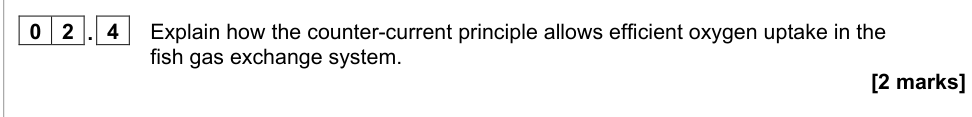 Question from 2021 A-Level Paper 1 Q2.4 (2 marks)