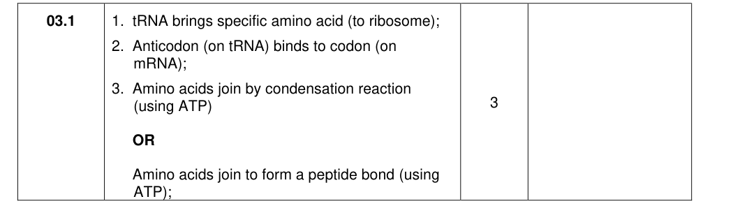 Mark scheme for 2021 A-Level Paper 1 Q3.1 (3 marks)