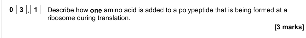 Question from 2021 A-Level Paper 1 Q3.1 (3 marks)